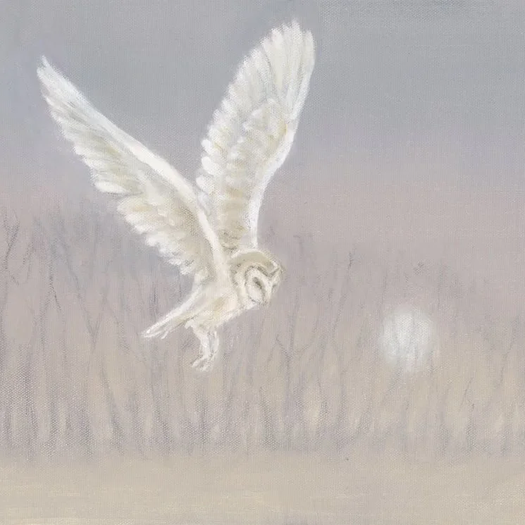 Owl and Moon - Greeting Card - Pack of 6
