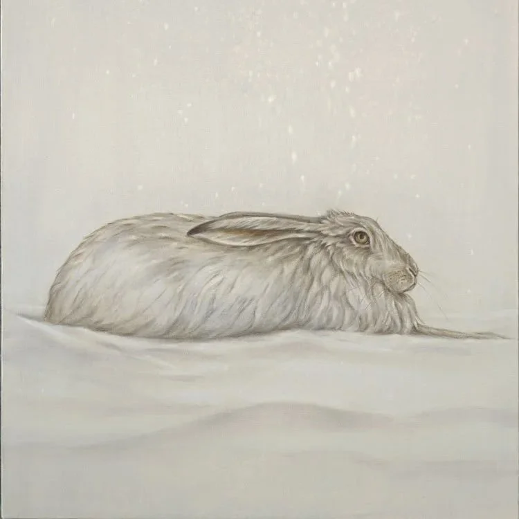 Winter Hare- Greeting Cards-pack of 6