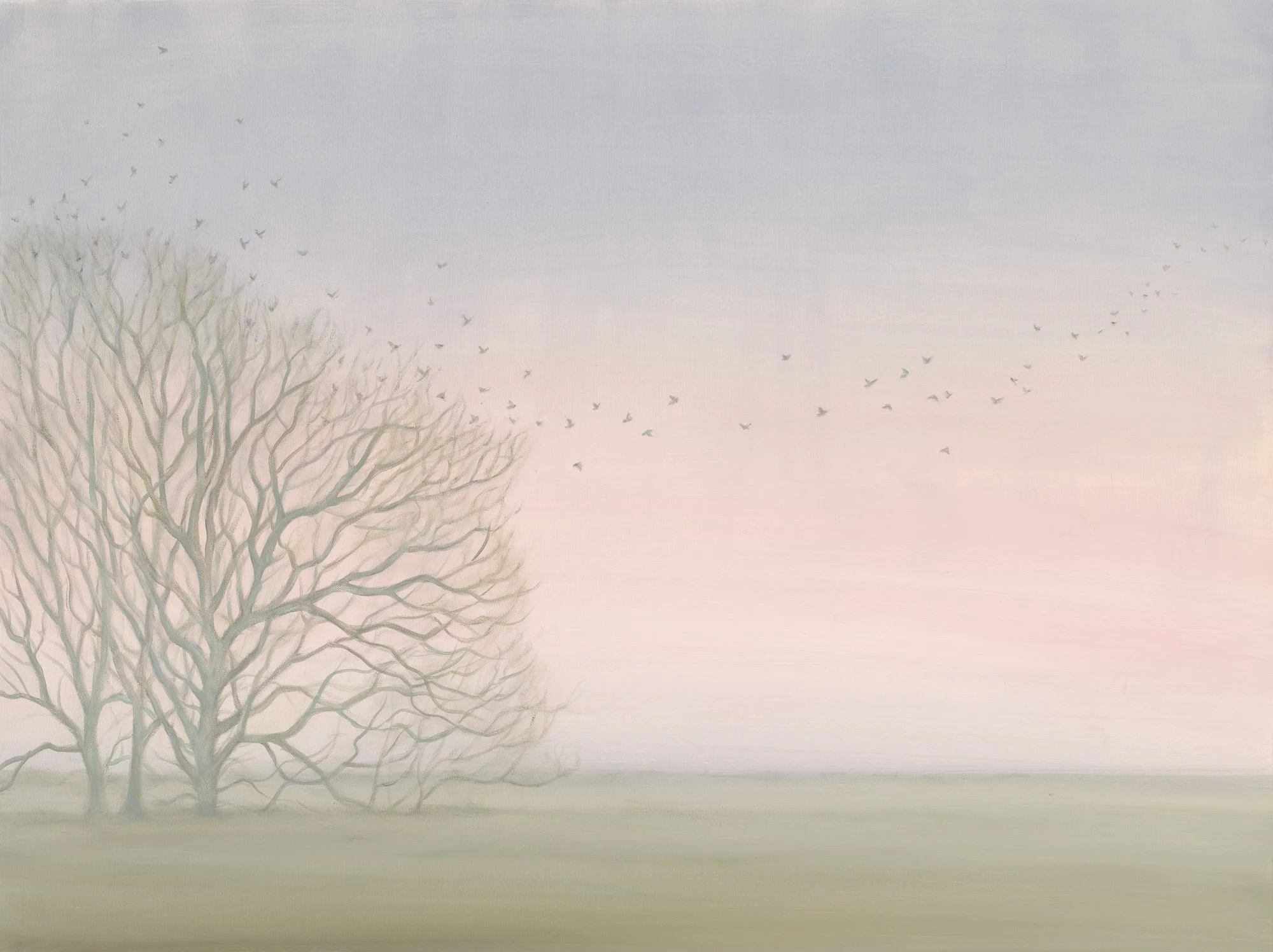 Trees and Meadow
oil on canvas, 30" x 40"