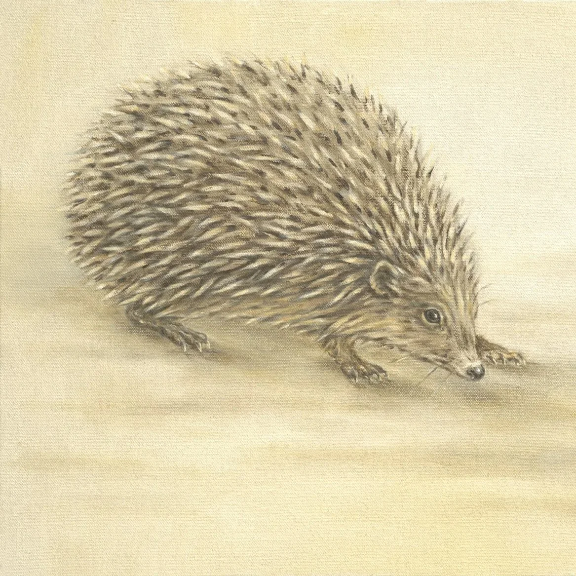 Hedgehoig- Greeting Cards-pack of 6