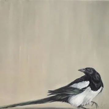 Magpie- Greeting Card - Pack of 6