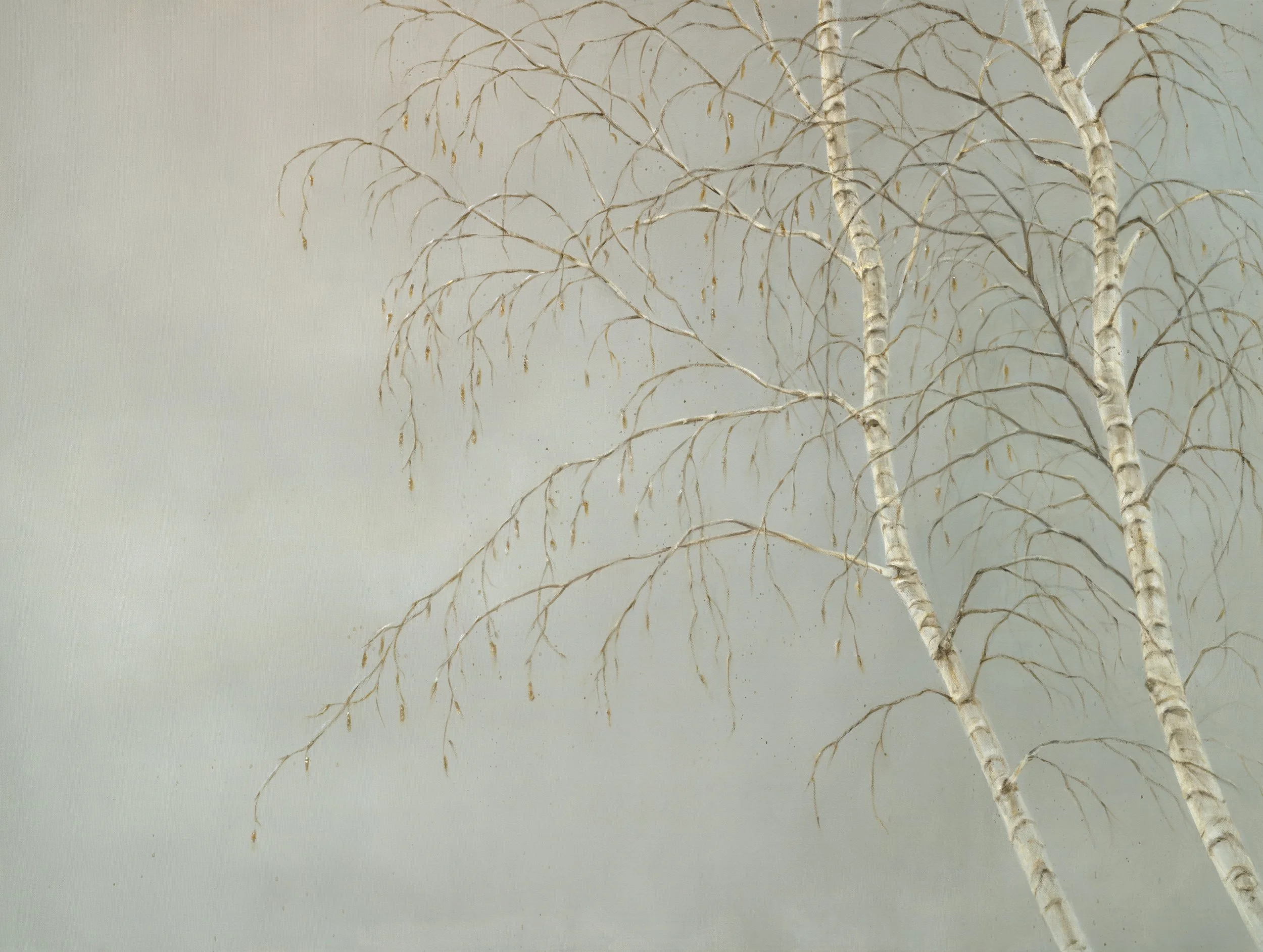 Silver Birches-Greeting Cards-Pack of 6