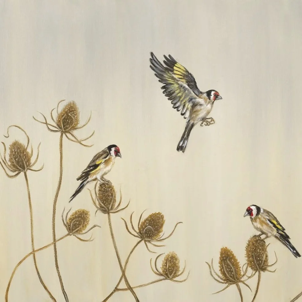Goldfinches and Teasels- Greeting Cards - Pack of 6