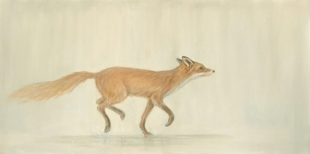 Running Fox
Oil on Canvas 24" x 48"