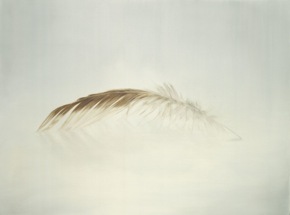 Pheasant Feather (Brown)
Oil on Canvas 30" x 40"