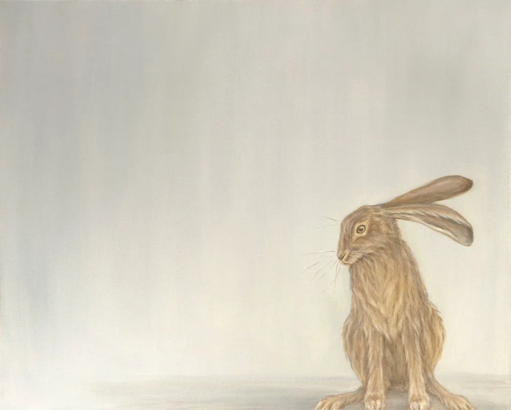 Sitting Hare
Oil on Canvas 24" x 30"