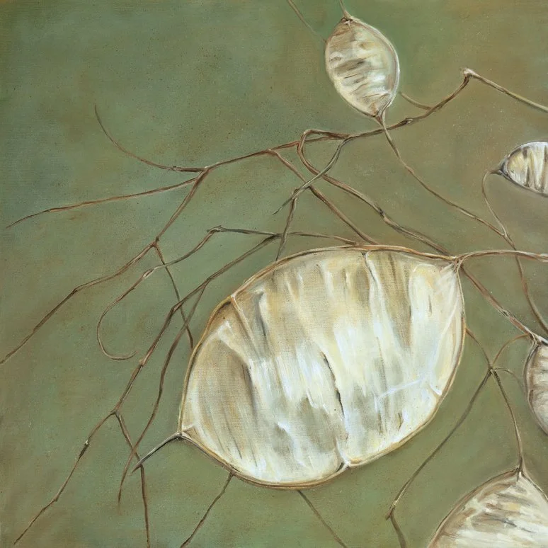Silver Pennies
Oil on Canvas 24" x 24"
