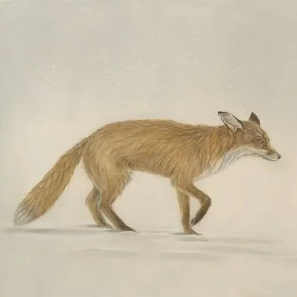 Fox- Greeting Cards-pack of 6