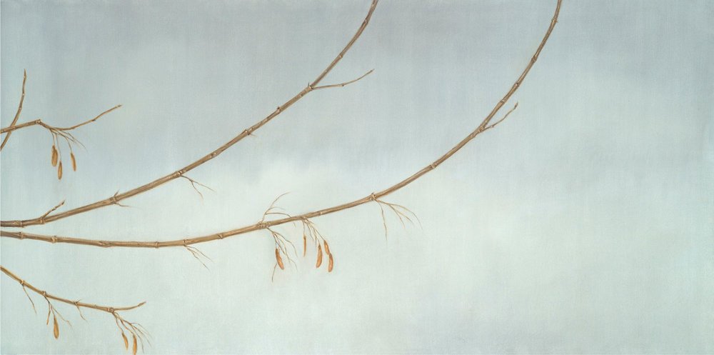 Ash Branch
Oil on Canvas 24" x 48"