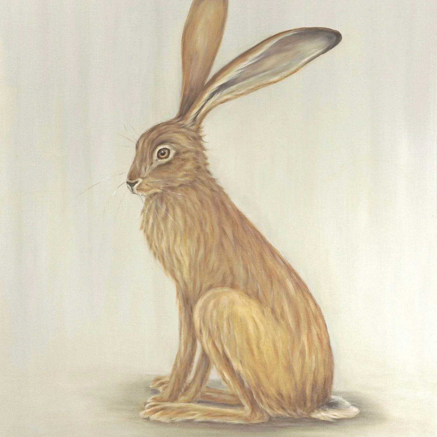 Resting Hare- Greeting Cards-pack of 6