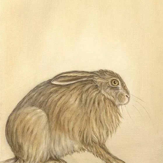 Crouching Hare- Greeting Cards-pack of 6