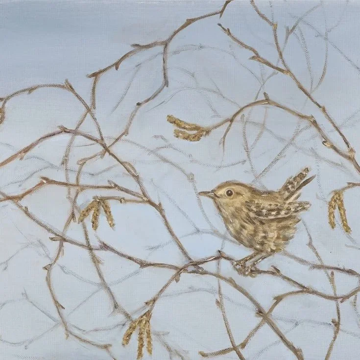 Wren and Catkins- Greeting Cards - Pack of 6