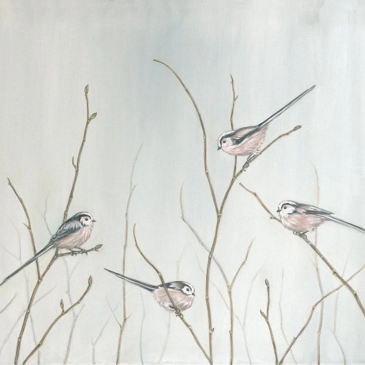 Long Tailed Tits - Greeting Card - Pack of 6