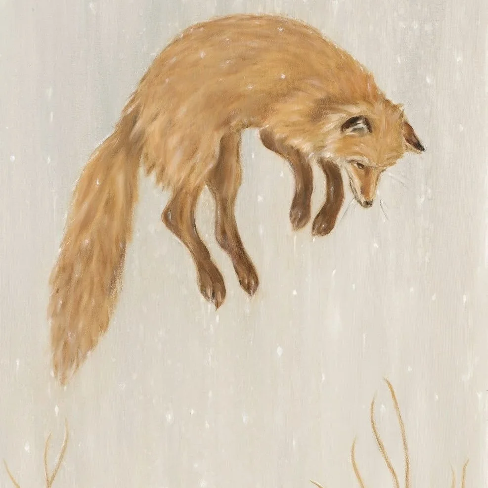 Pouncing Fox- Greeting Cards-pack of 6