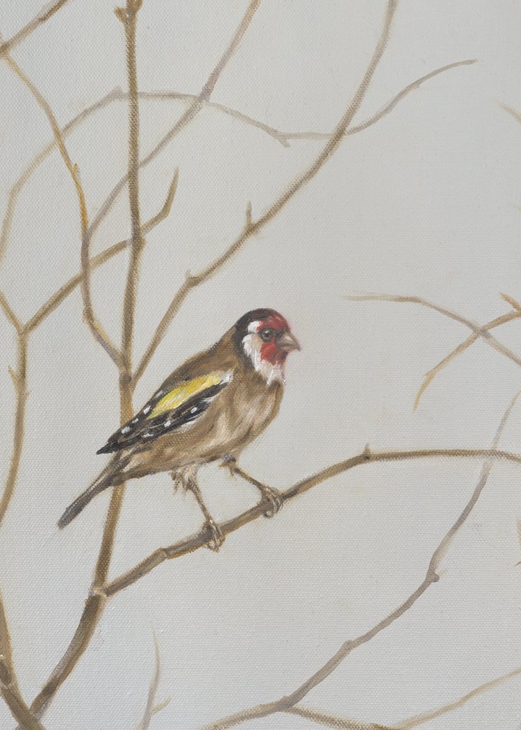 Goldfinch- Greeting Cards - Pack of 6 (Copy)