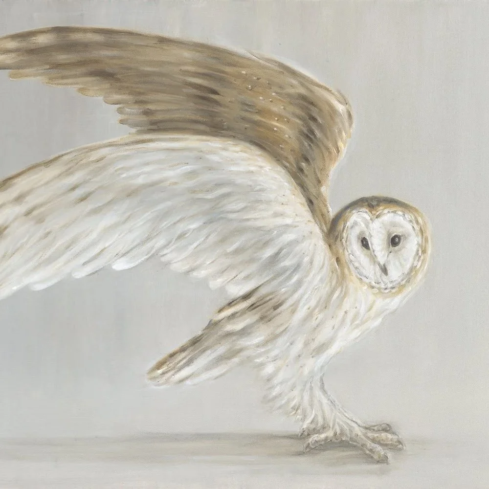 Barn Owl Unfolding- Greeting Card - Pack of 6