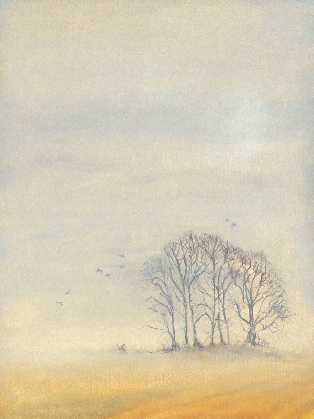 Spinney
Watercolour and Ink on Paper, 12" x 9"