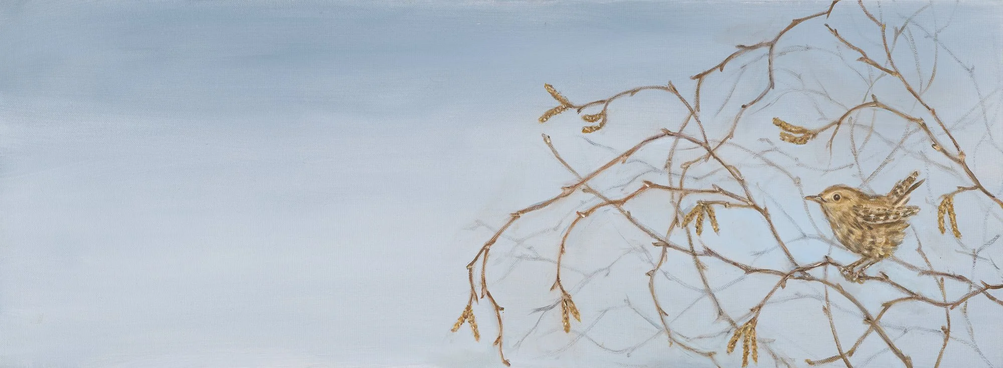 Wren and Catkins
Oil on Canvas 12" x 32"