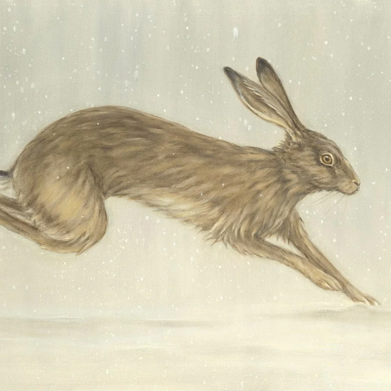 Running Hare- Greeting Cards-pack of 6