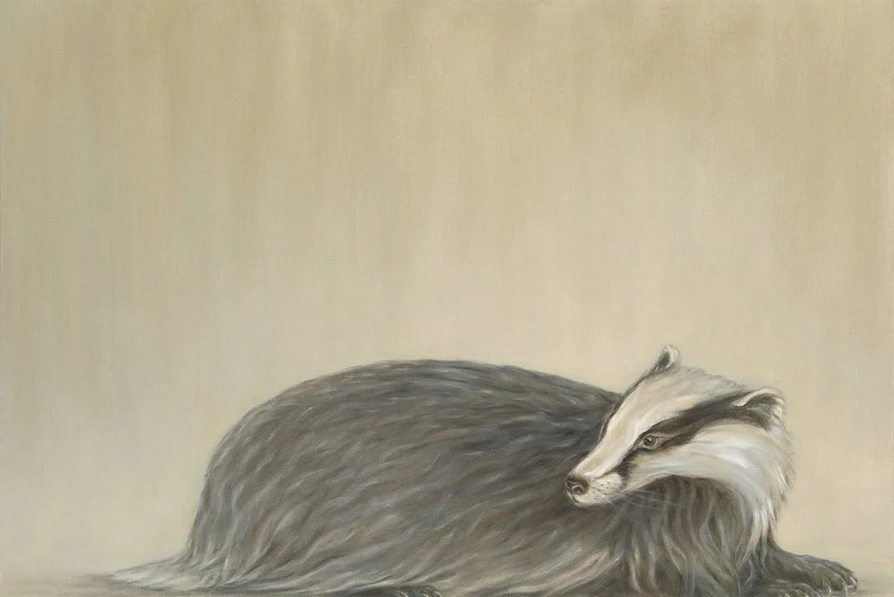 Badger
Oil on Canvas 24" x 36"
