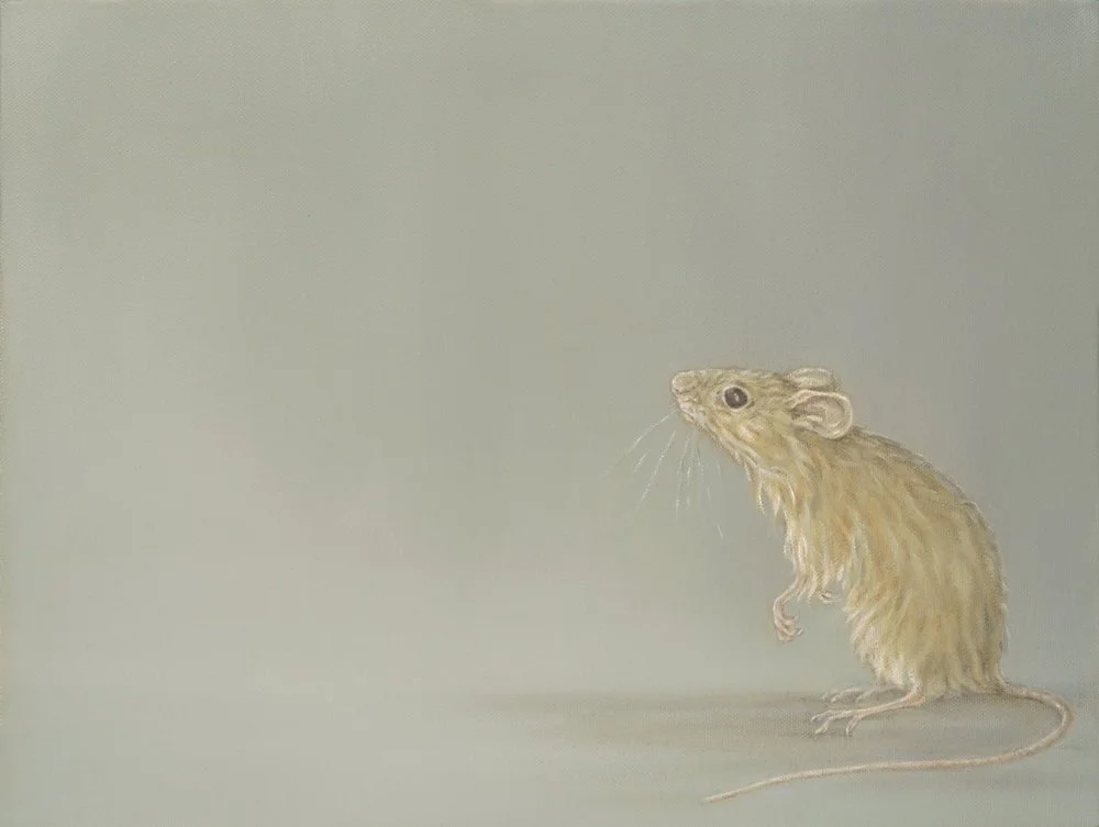Mouse
Oil on Canvas 14" x 18"