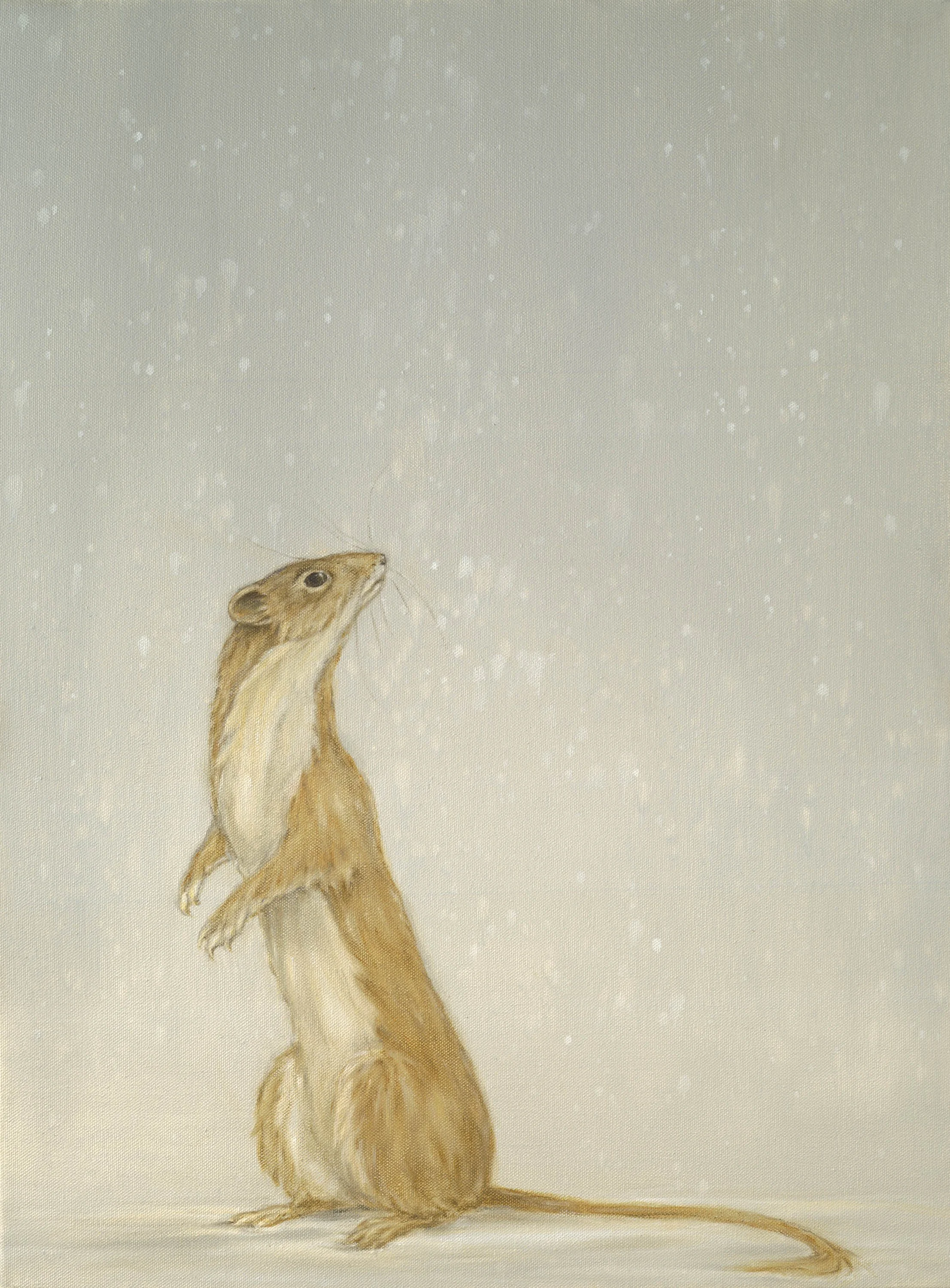 Weasel in Snow med res.jpg