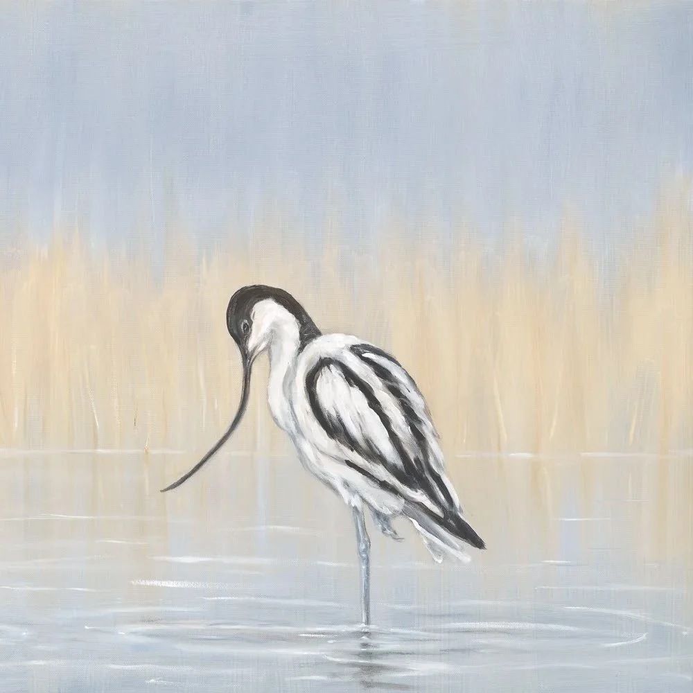 Avocets and Reeds - Greeting Card - Pack of 6