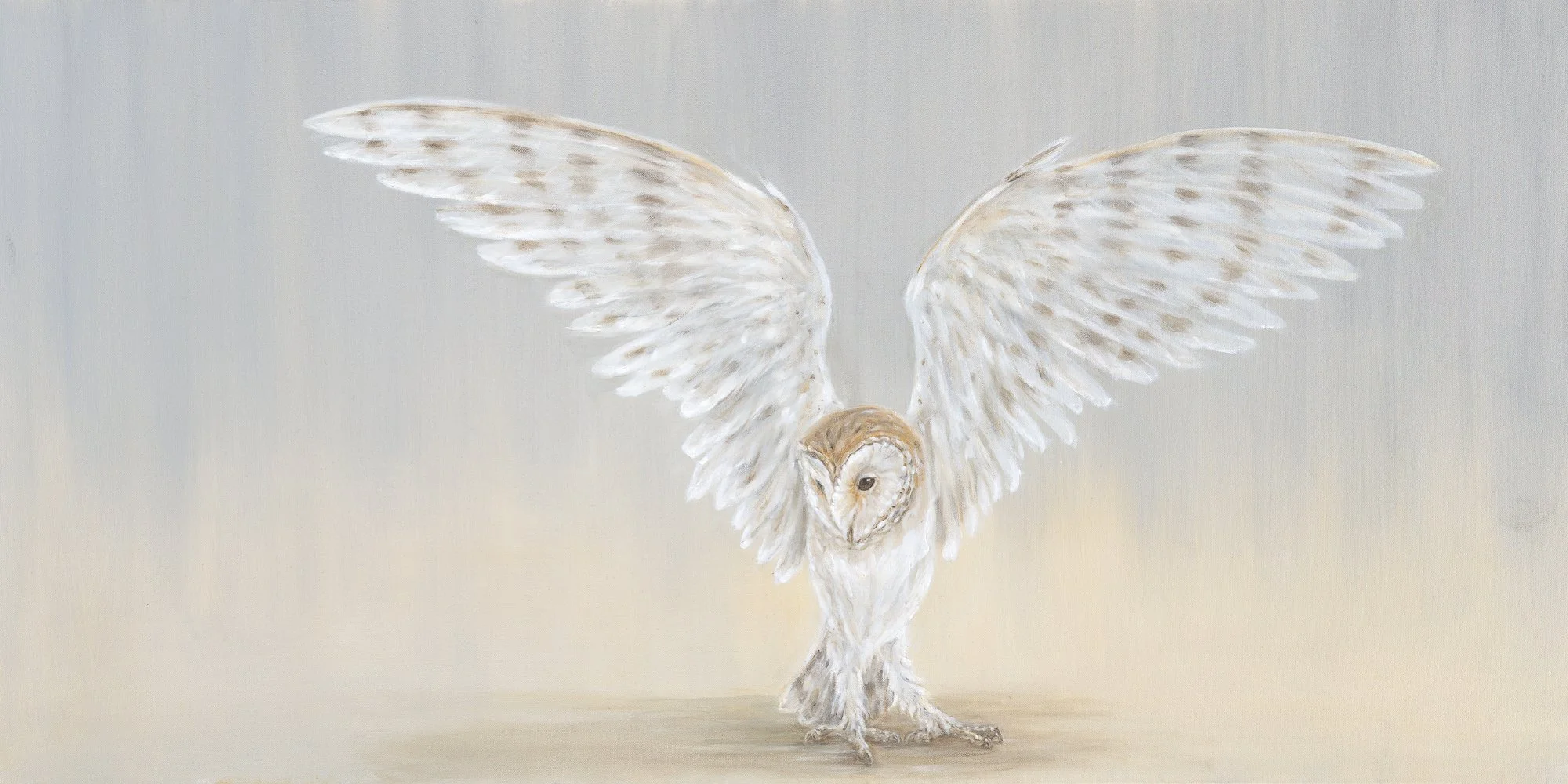 Stretching Barn Owl - Greeting Card - Pack of 6