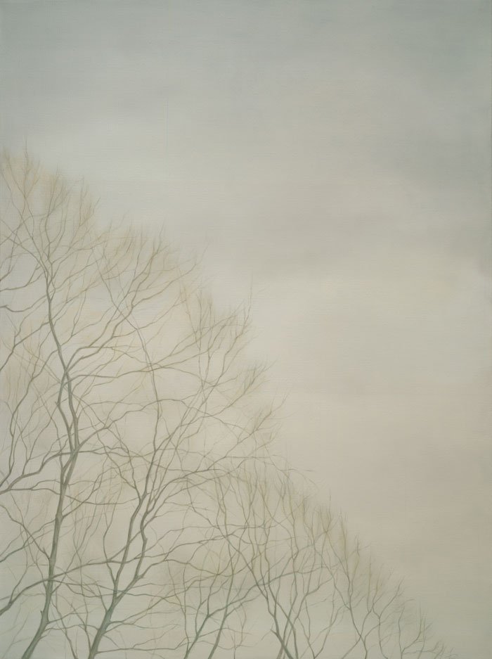 Old Beech Trees
Oil on Canvas 48" x 36"