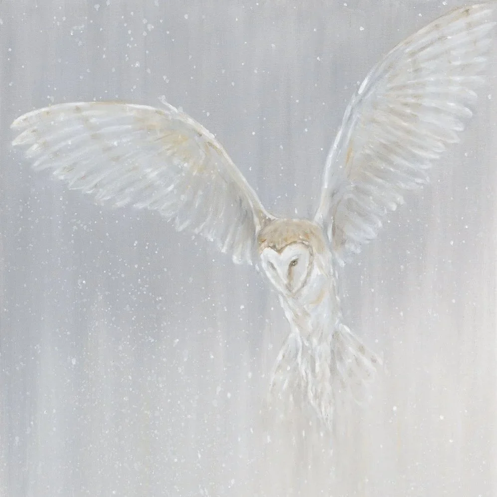 Ghost Owl- Greeting Card - Pack of 6