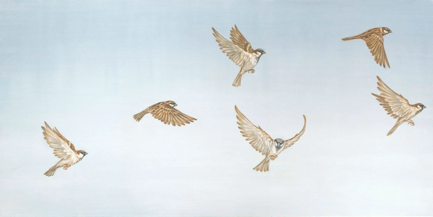 Flight of Sparrows
Oil on Canvas 24" x 48"