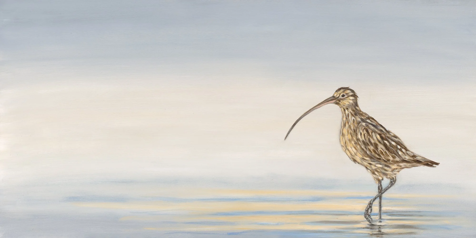Curlew, oil on canvas, 24" x 48"