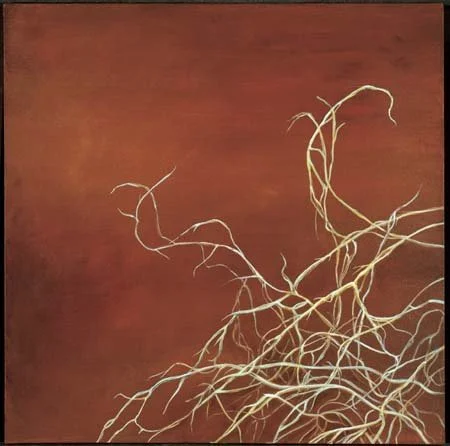 10 Spanish Moss.jpg