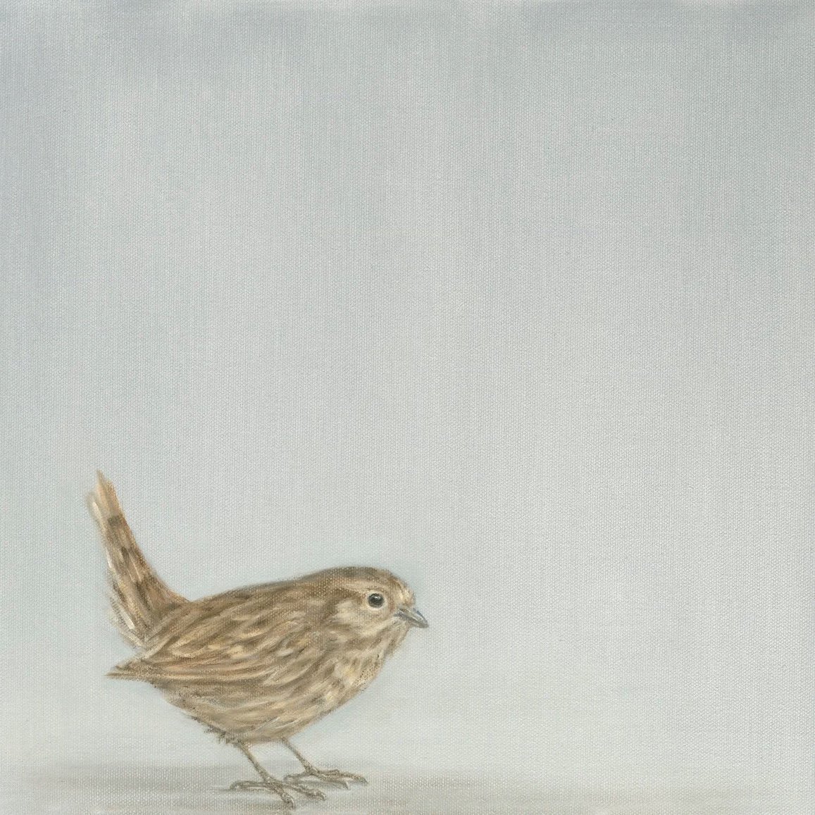 Wren- Greeting Card - Pack of 6