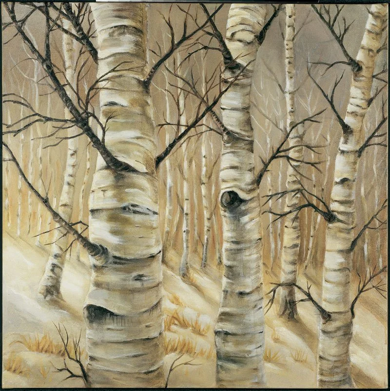Birch Wood-Greeting Cards-Pack of 6