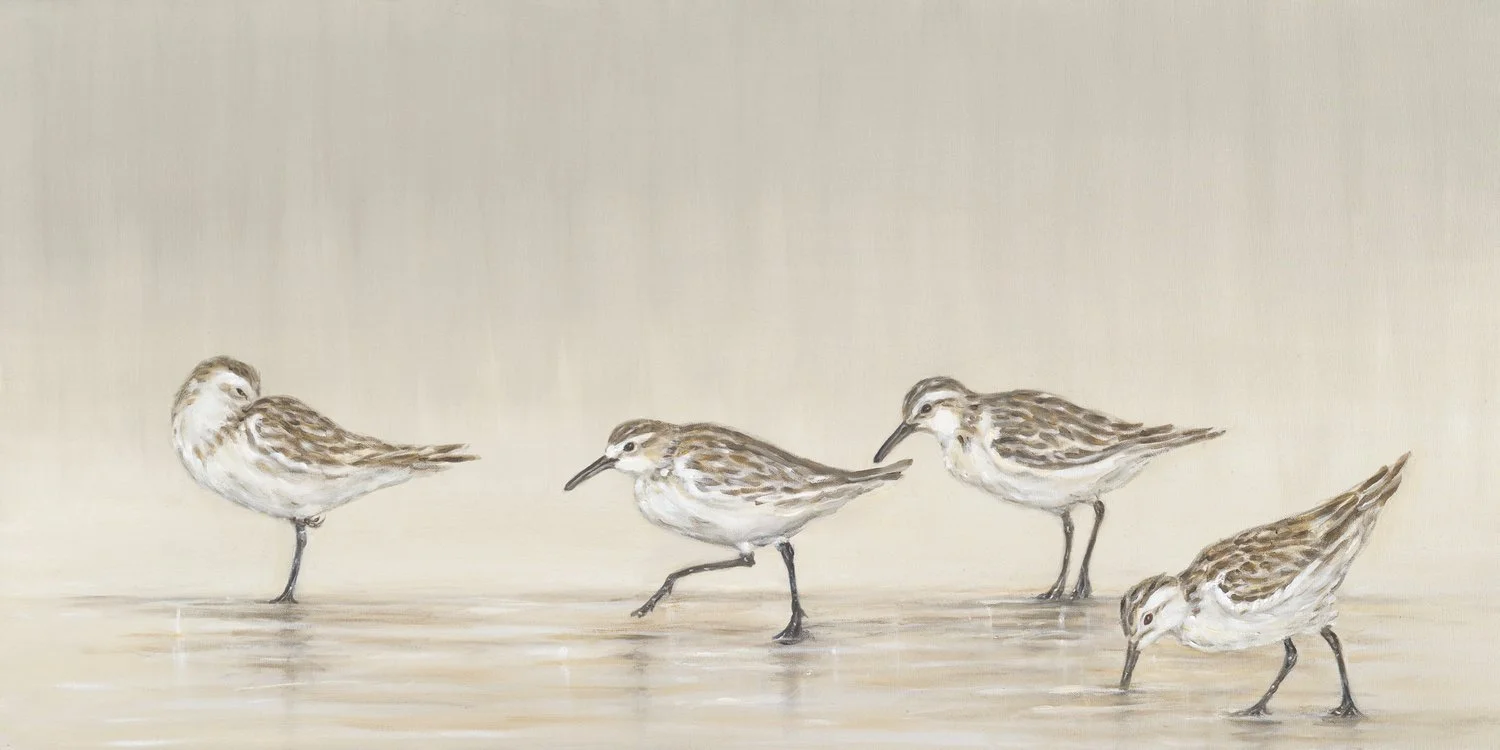 Sanderlings
Oil on Canvas 20" x 24"