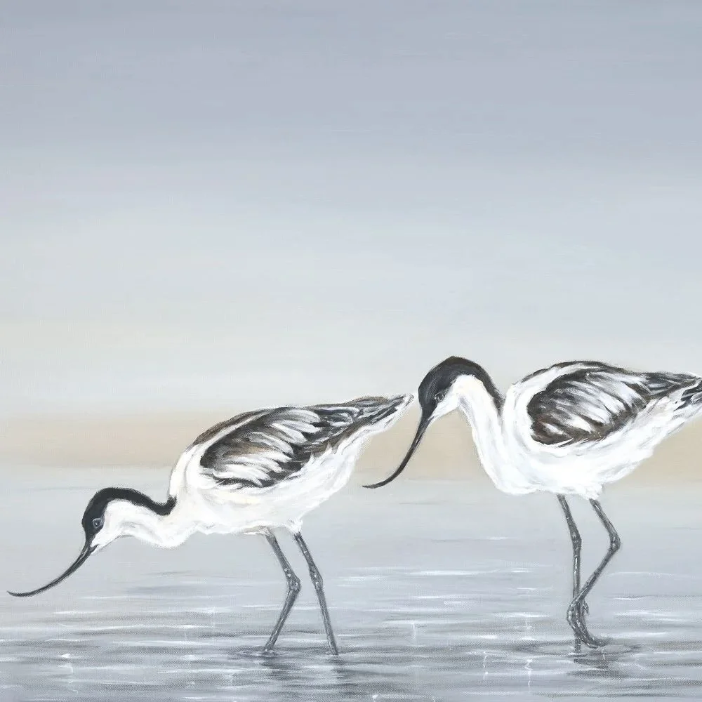 Avocets- Greeting Cards - Pack of 6