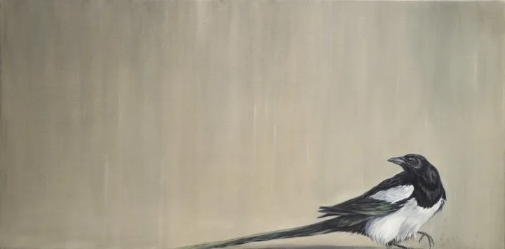 Magpie.jpg