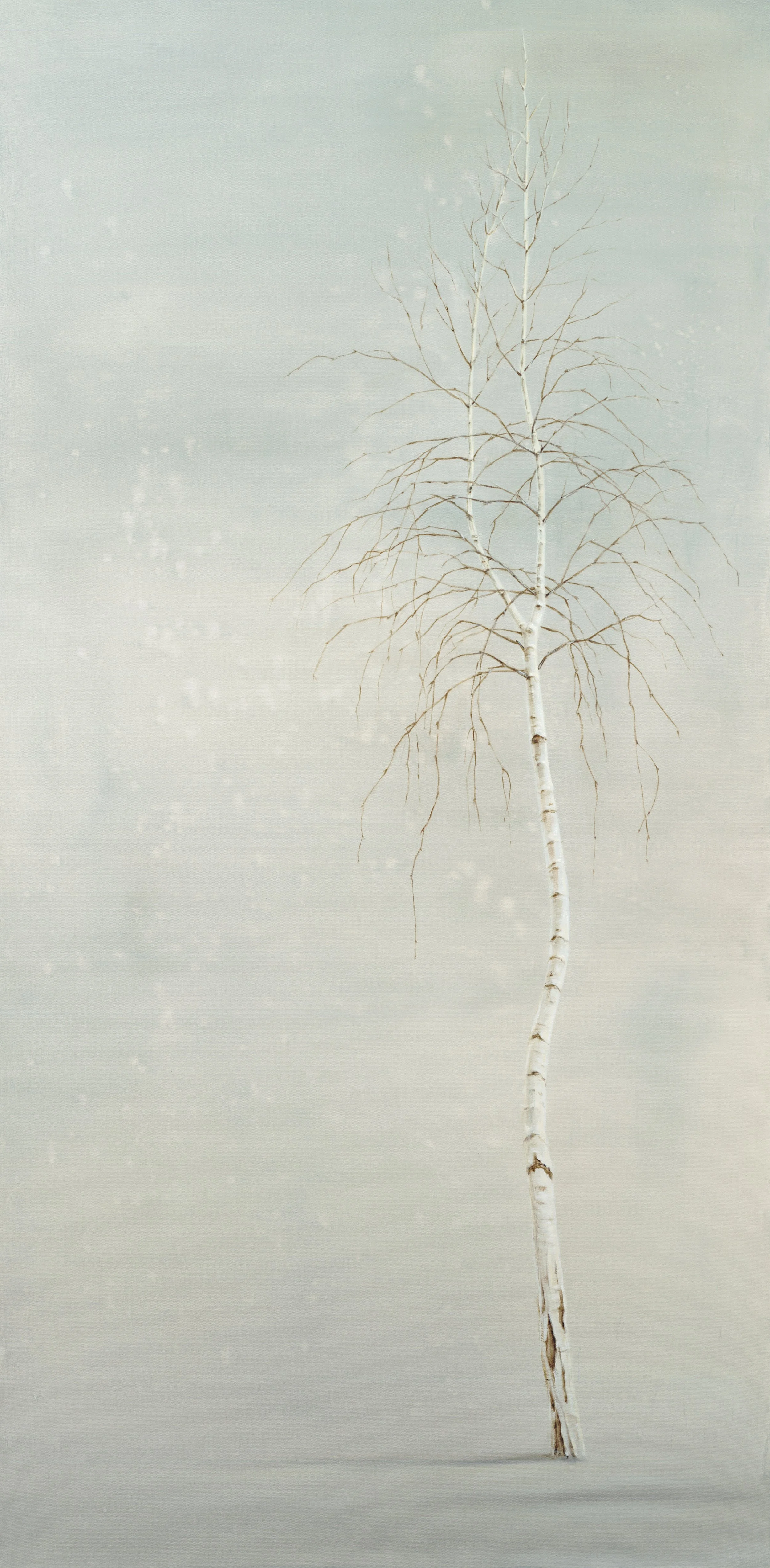Single Birch-Greeting Cards-Pack of 6