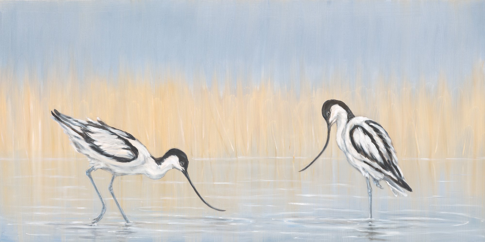 Avocets and Reeds