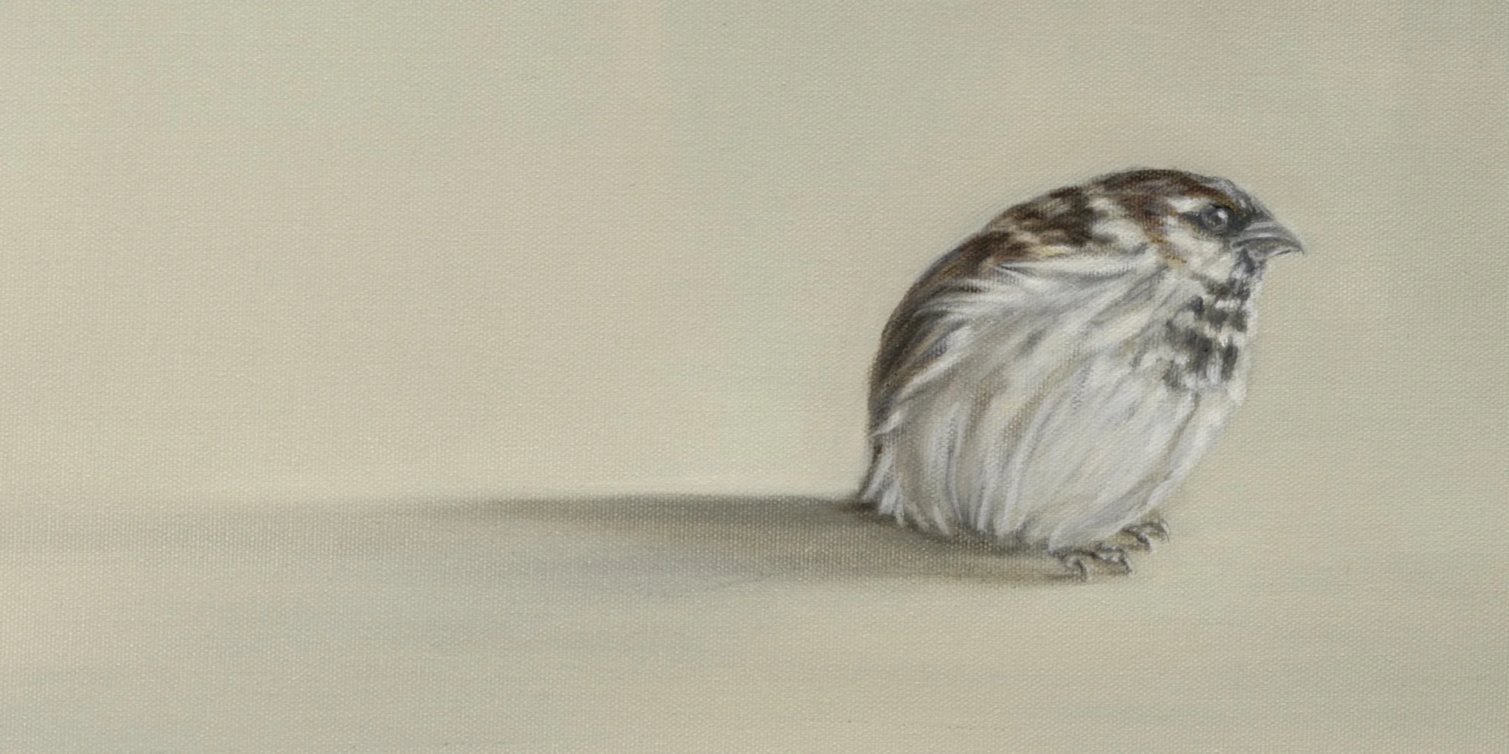 Sparrow Meeting detail 3*.jpg