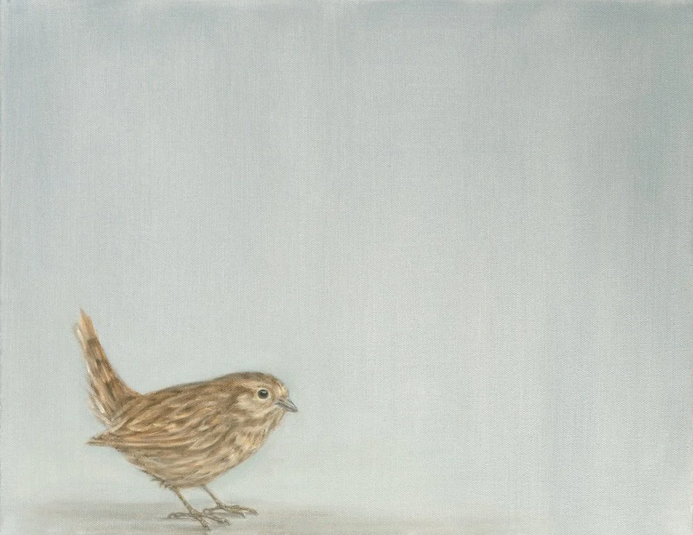 Wren
Oil on Canvas 14" x 18"