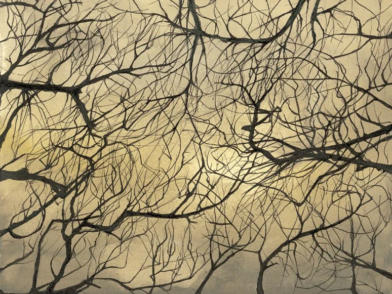 Branches
Ink and Watercolour on Paper, 9" x 12"