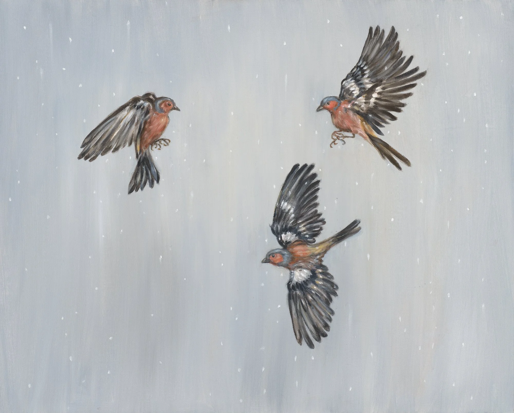 Chaffinch Charm - 24x30 inches - Bella Bigsby.jpg