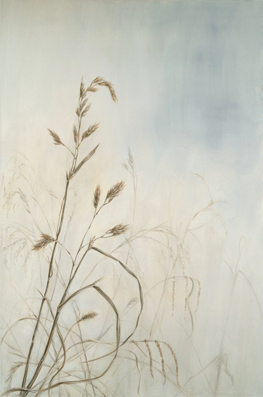 Wayside Grasses
Oil on Canvas 36" x 24"