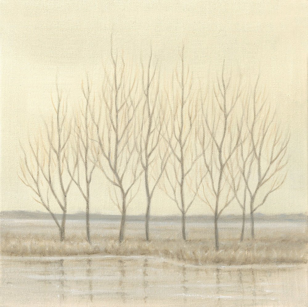Stand of Trees
Oil on Canvas 12" x 12"