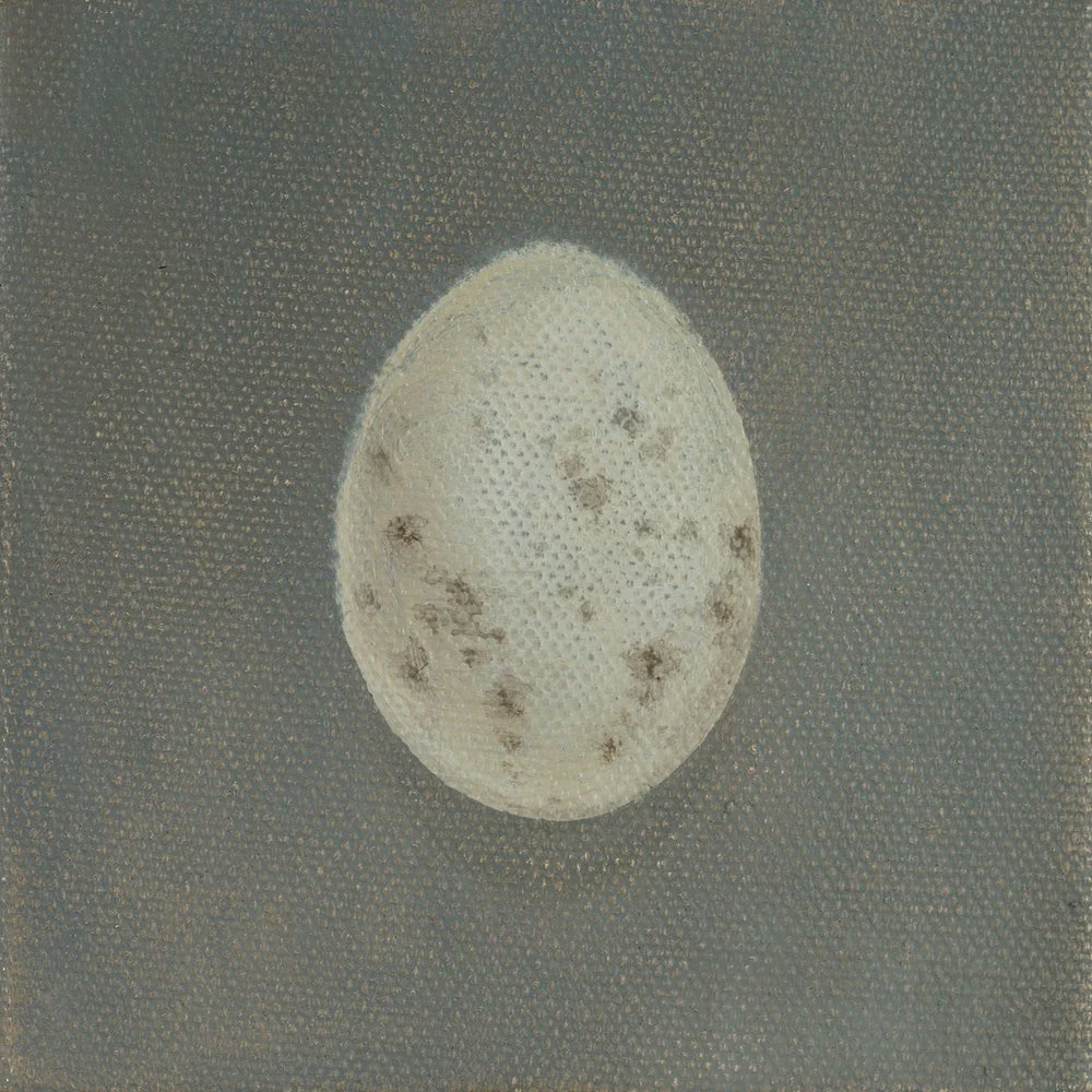 Blackbird Egg
Oil on Canvas 4" x 4"