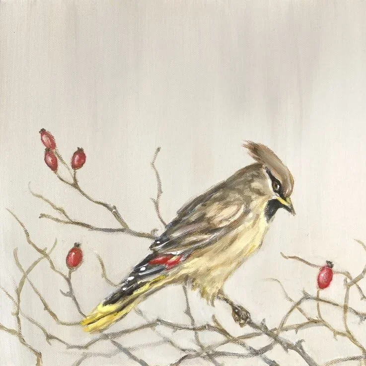 Waxwings - Greeting Card - Pack of 6