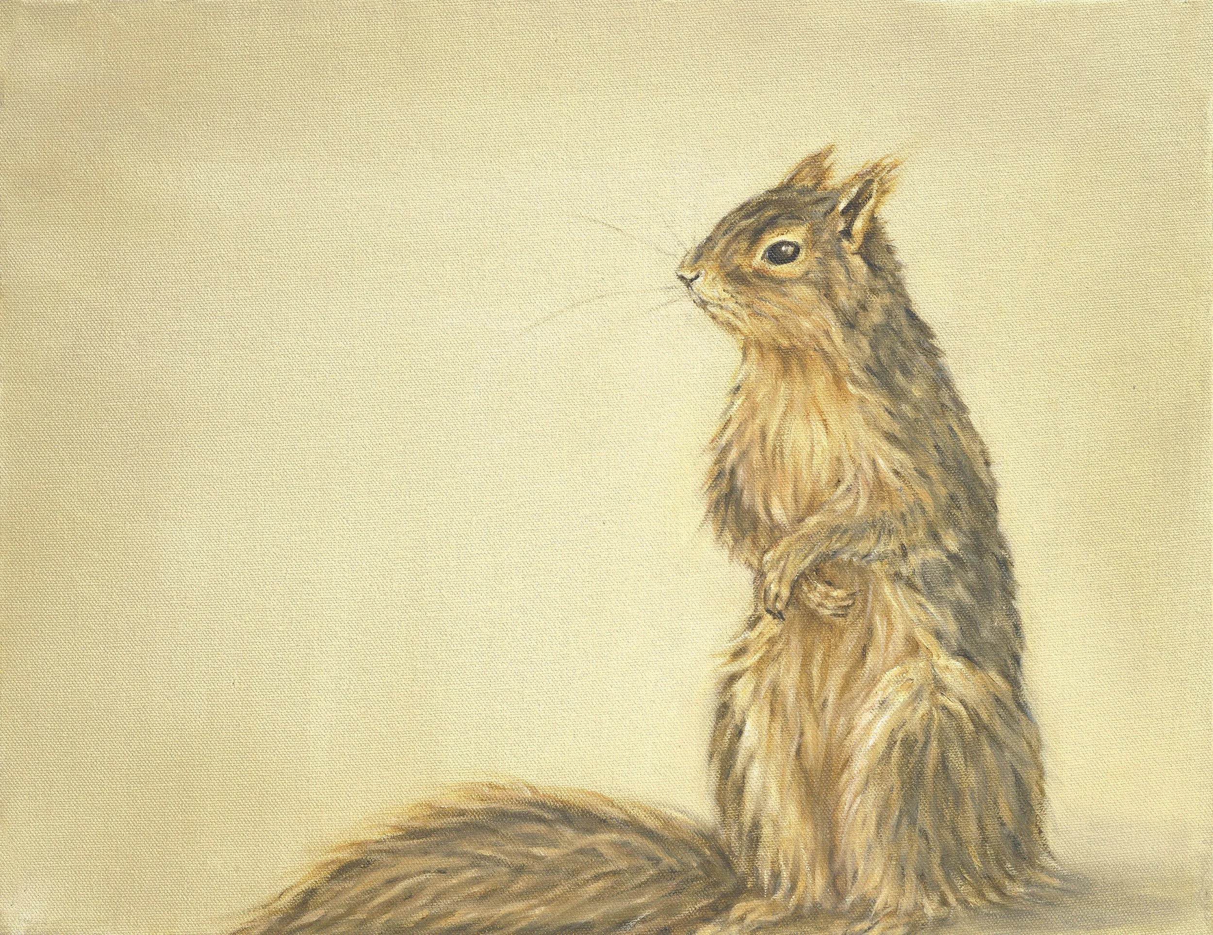 Fox Squirrel- Greeting Cards-pack of 6