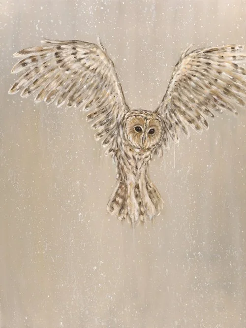 Tawny Owl and Snow
Oil on Canvas 40" x 30"